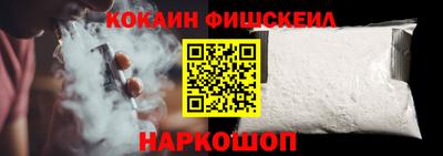 гашик Кулебаки