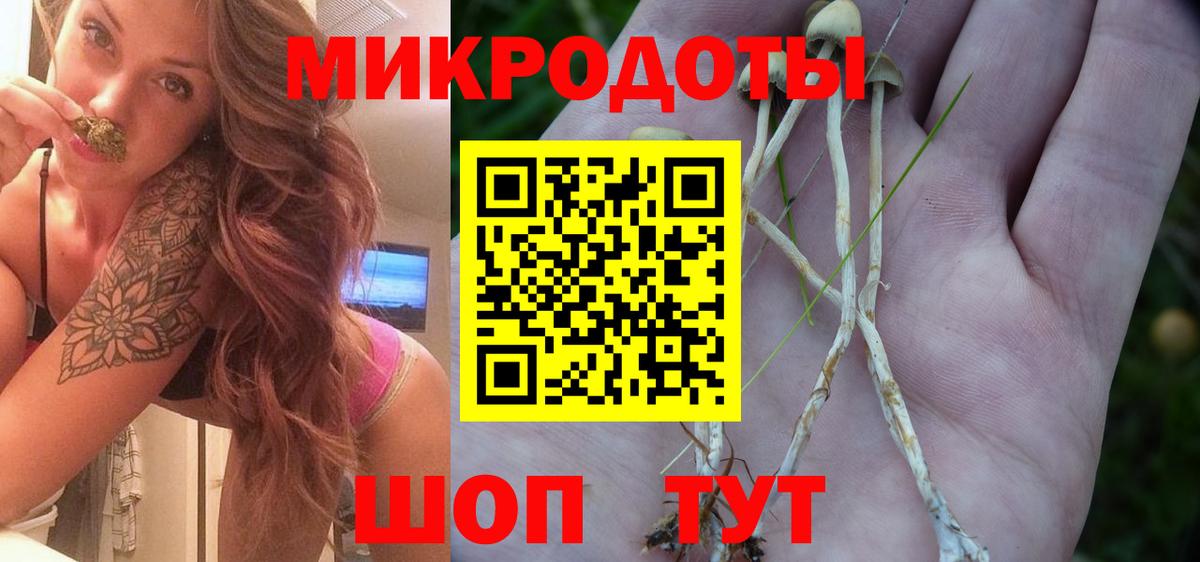 Псилоцибиновые грибы Psilocybine cubensis Вольск