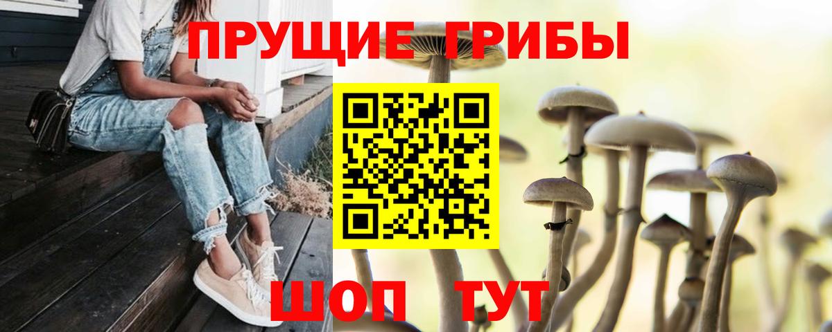 Вольск  как найти наркотики  Вход с VPN  Псилоцибиновые грибы мухоморы 